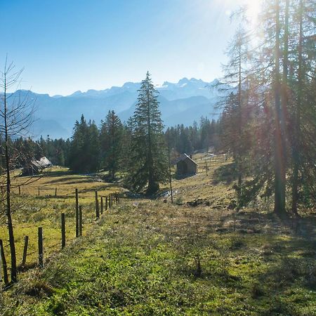 Ferienwohnung Panoramaglueck Bad Goisern am Hallstättersee Exterior foto